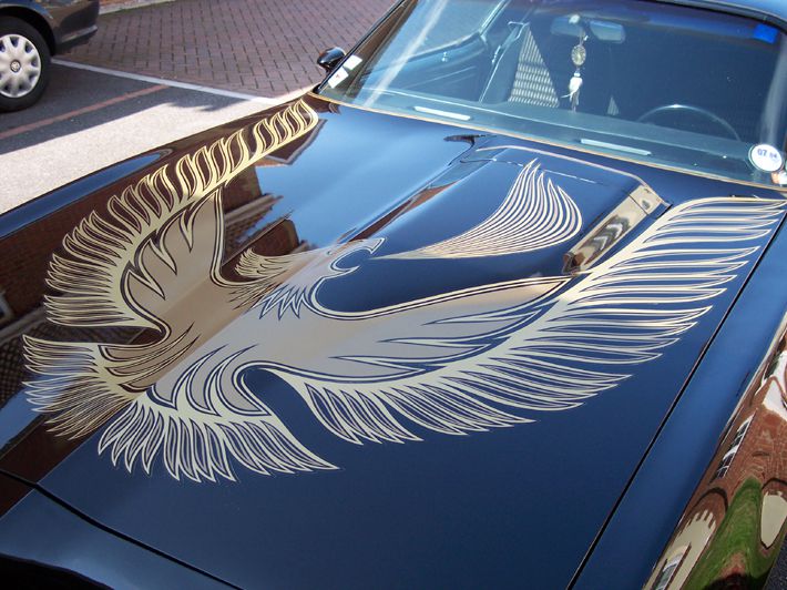 81 Trans Am